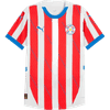 CAMISETA PUMA OFICIAL ALBIRROJA P/CABALLERO TALLA S